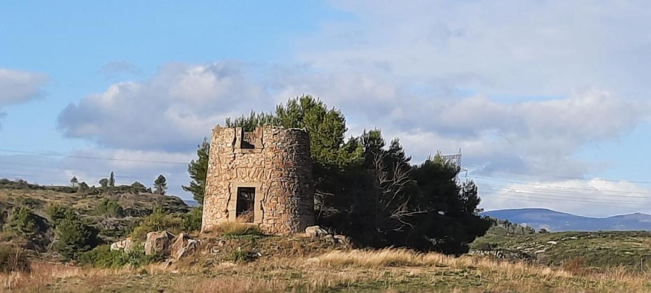 Le Coq Du Nord - Mailhac Gite Et Chambres D'Hotes Εξωτερικό φωτογραφία