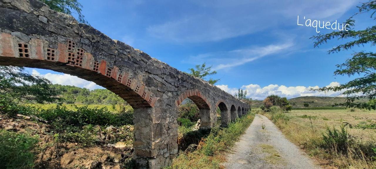 Le Coq Du Nord - Mailhac Gite Et Chambres D'Hotes Εξωτερικό φωτογραφία