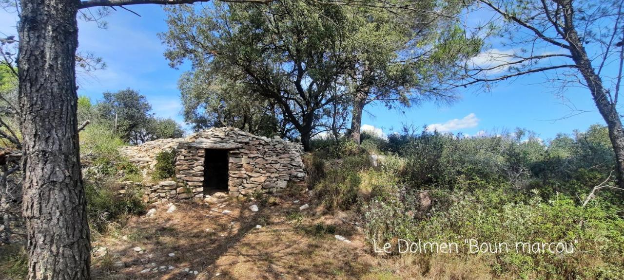 Le Coq Du Nord - Mailhac Gite Et Chambres D'Hotes Εξωτερικό φωτογραφία